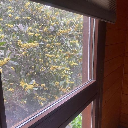 Apartamentos El Bosquet ซันต์กูกัต เดล บาเยส ภายนอก รูปภาพ